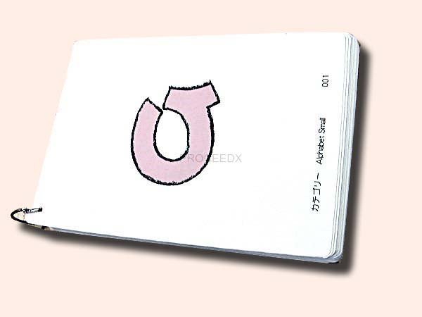 画像1: PROCEEDX11［A4サイズ英語絵カード　アルファベット（小）　］ 英語カード (1)