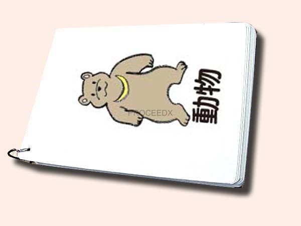 画像1: PROCEEDX33［A4サイズ英語絵カード　　動物］ 英語カード (1)