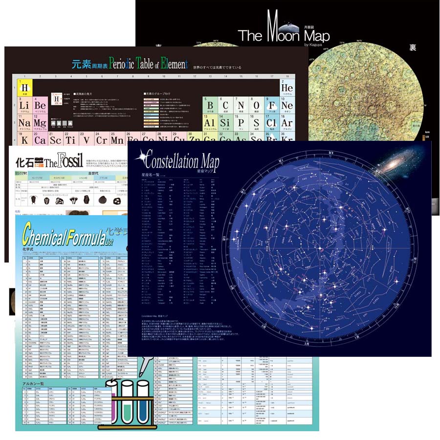 proceedx学習ポスター pro-3010 福袋5 5枚セット 星座 元素 月面 化学 化石 勉強部屋 教室 壁掛け A2 小学 中学 高校 一般  受験 ふかん学習 簡単 まとめ 重要 暗記 図表 教材 低価格 日本製