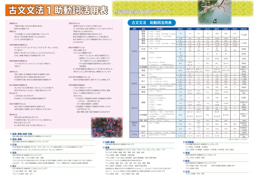 古文 文法1 助動詞活用表 プロシードネットショップ